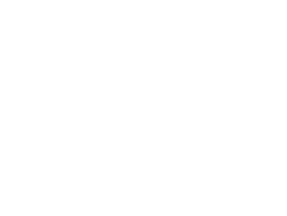 Logo Themis Partner Black